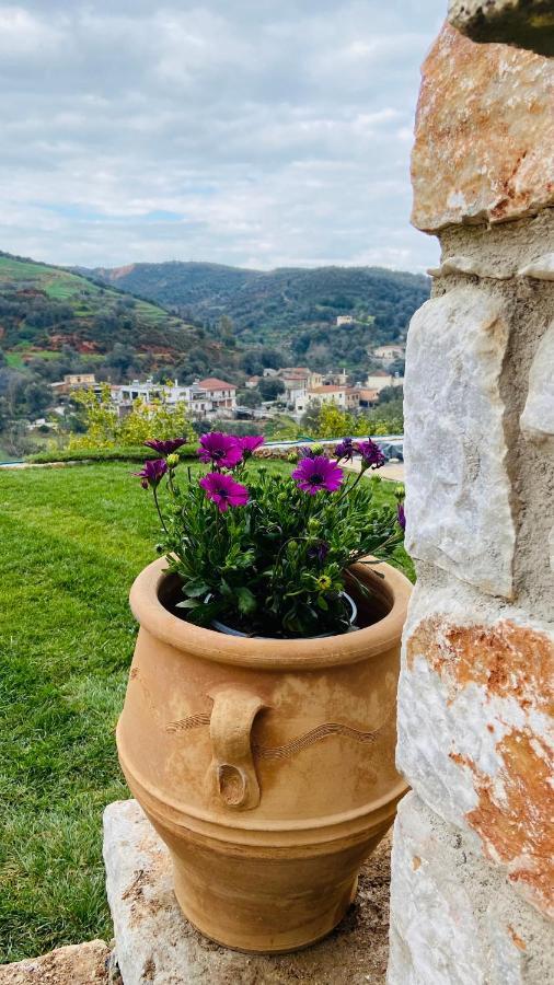Ampelos Cretan Villa - Private Pool & Heated Ozone Jacuzzi Yerolákkos 외부 사진
